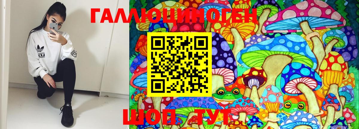 Губкинский  Псилоцибиновые грибы Magic Shrooms  Вход с VPN  Галлюциногенные грибы Psilocybine cubensis 